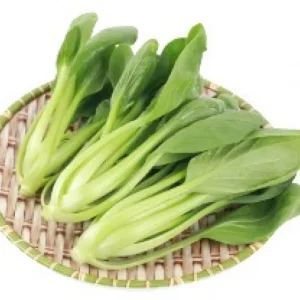 有機青油菜